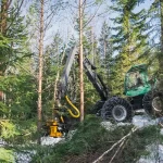 Image showing the TMK Tree Shear on a Forestry Loader