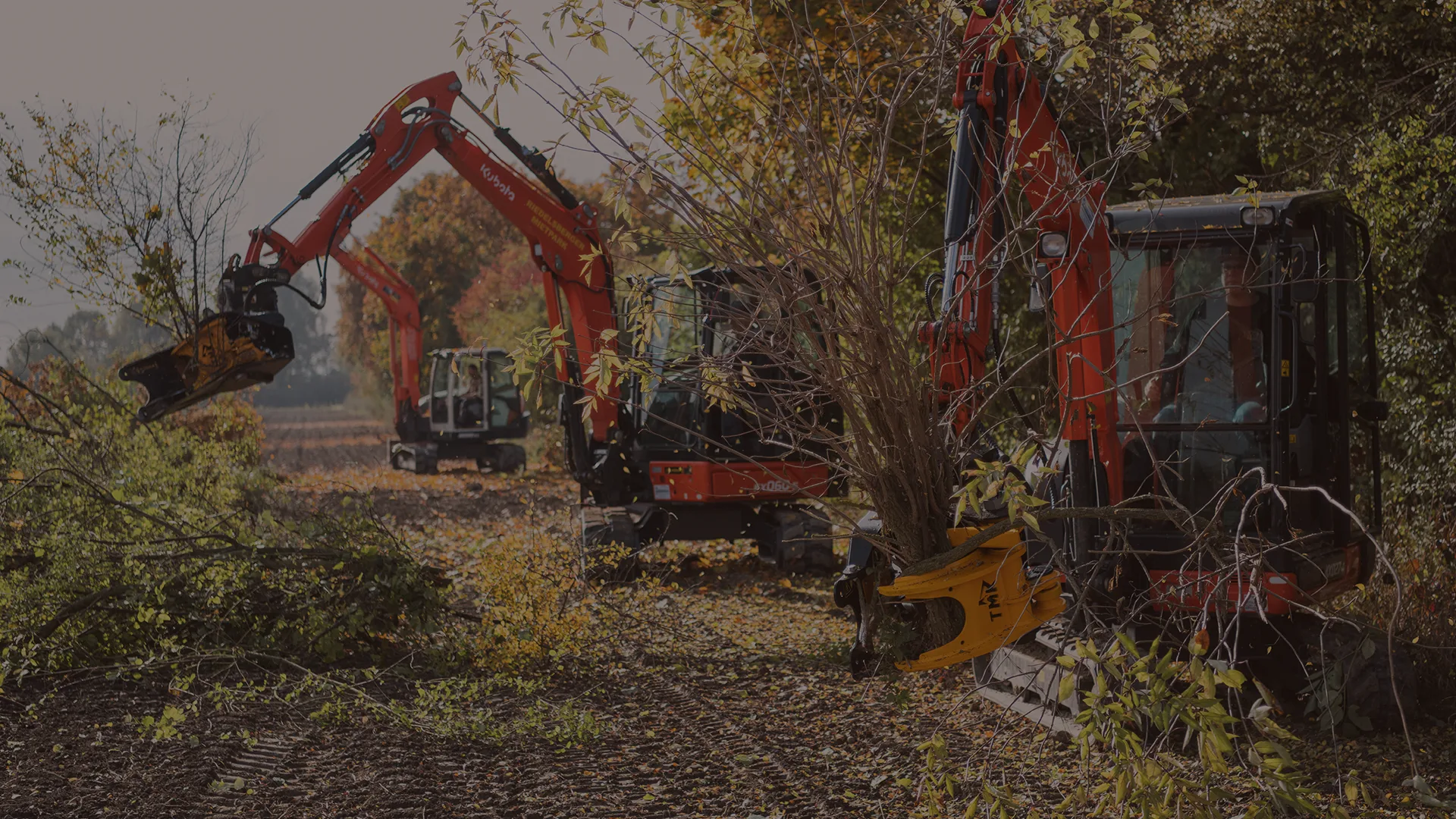 Showcasing 3 different shear models on different machines