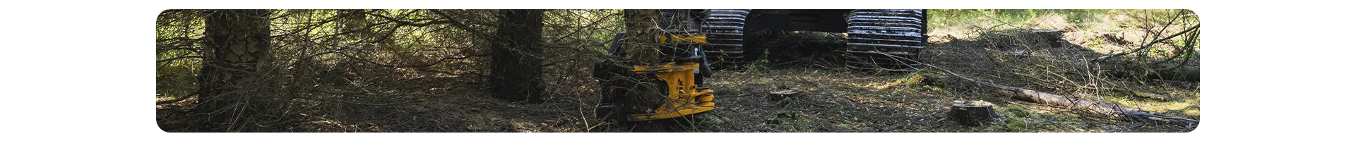 Thin Image TMK 300 Tree Shear