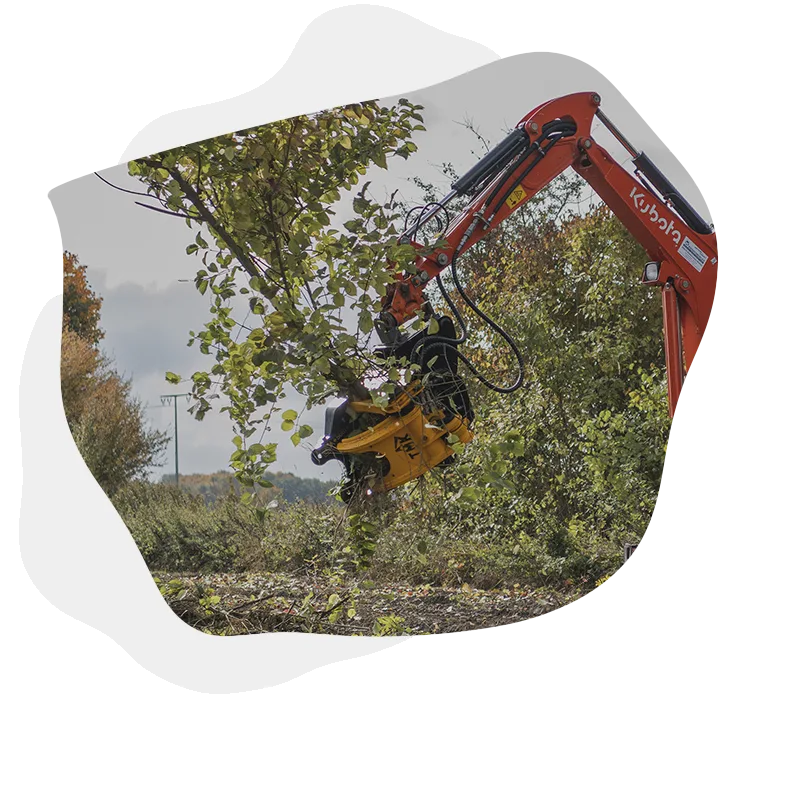 P1TSW TMK Tree Shear Cropped Image ( TMK200 )