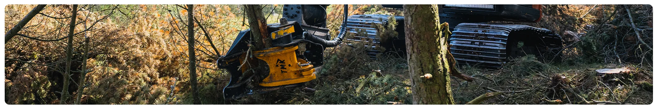 TMK 300 With Collector Mid Cut Image