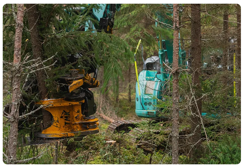 TMK 300 Tree Shear Using Collector While Cutting